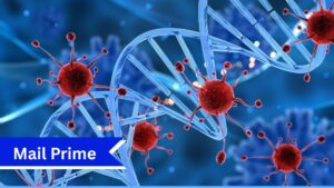 Nukleotidy: The Microscopic Powerhouses Shaping Life, Health and Science