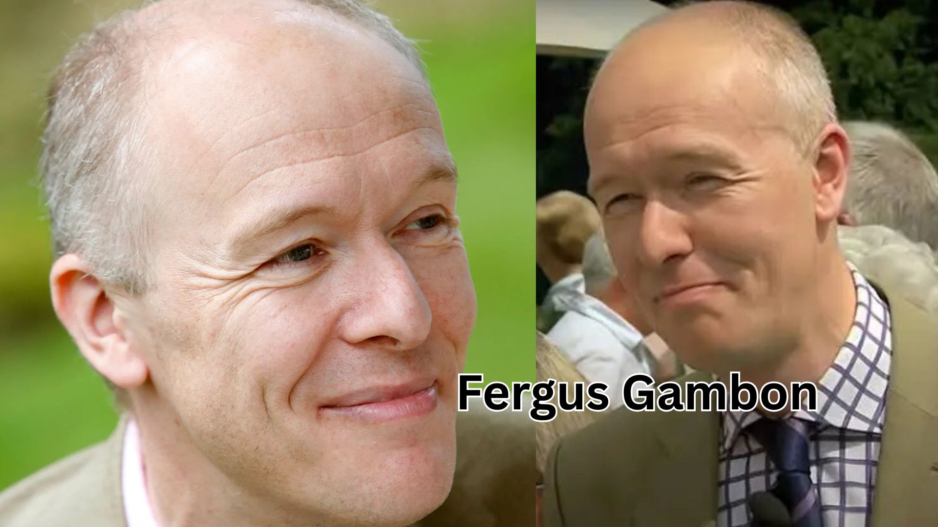 fergus gambon