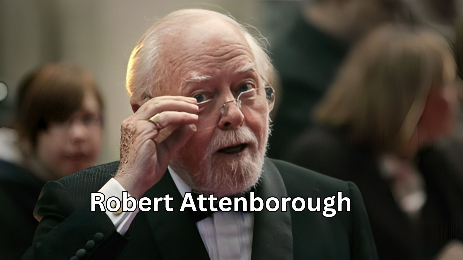 robert Attenborough robert Attenborough