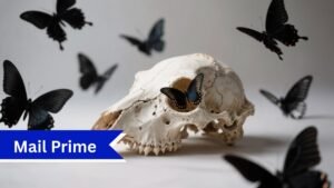 Butrflyskullmama: The Symbolic Digital Movement Blending Transformation, Strength, and Identity