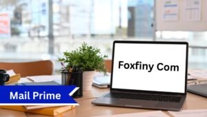 Foxfiny Com: A Complete Guide to the Growing Online Information Platform